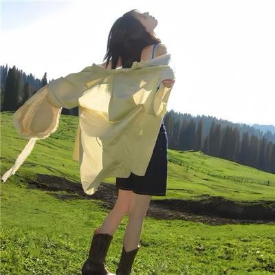 铁面急先锋