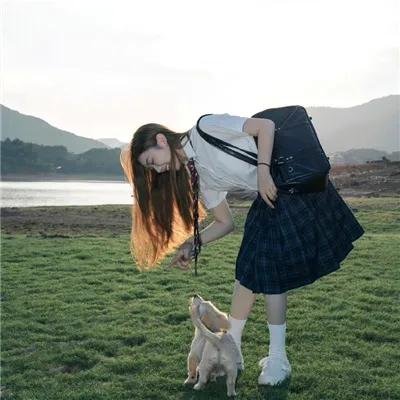 猫咪情缘